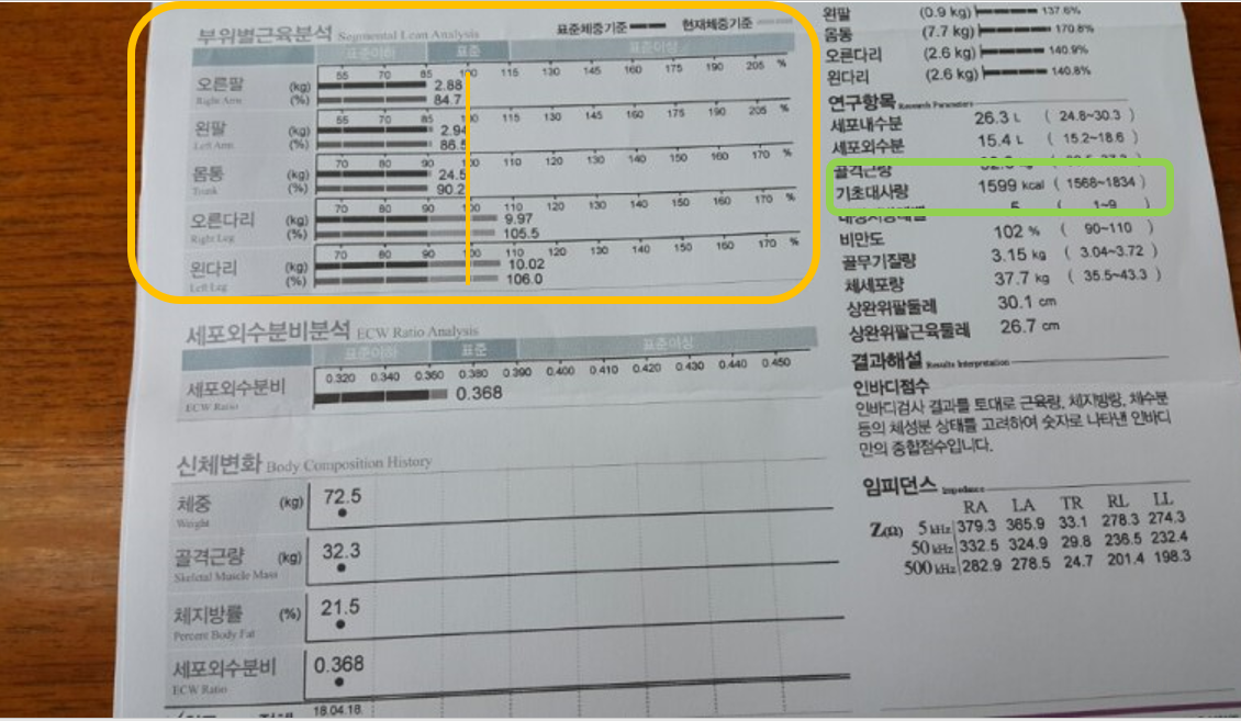 부위별 근육분석의 상하체 불균형과 기초대사량 1599kcal(표준 1588~1834)